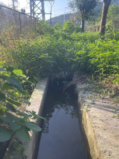 鳳城街道沙田社區(qū)淤堵水渠“重獲新生”農(nóng)田灌溉“開閥加速”.doc_1